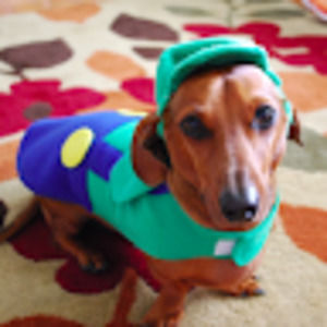 Meet your Posher, Regina